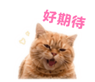 840702149