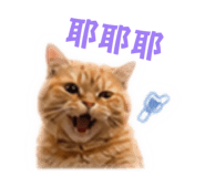 840702151