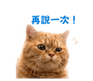 840702159