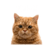 840702166