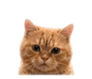 840702167