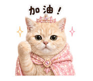 840702243