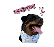 840702348