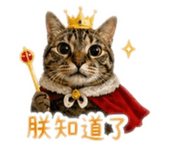 840702501