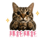 840702508