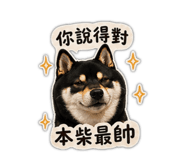 840702739