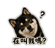840702750