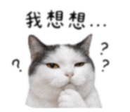 840702768