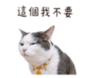 840702772