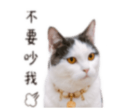 840702773