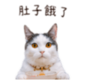 840702790