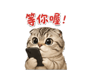 840703211
