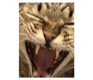 840703291