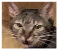 840703293