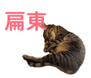 840703309