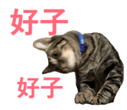 840703310