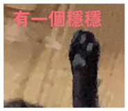 840703315