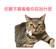 840703326