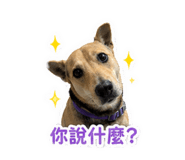 840703932