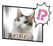 840704147