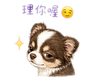 840704375