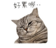 840705878
