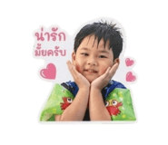 840706331