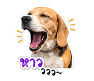840707248