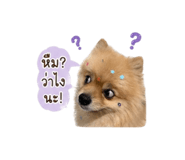 840707512