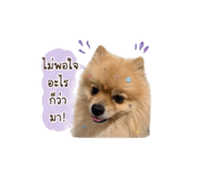 840707517