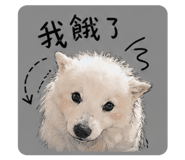 840708913