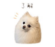 840709029