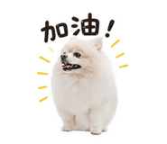 840709773