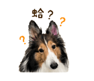 840711038