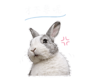 840711243