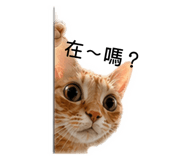 840711348