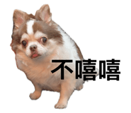 840711450