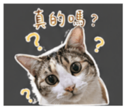 840711563