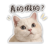 840712576