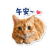 840712719