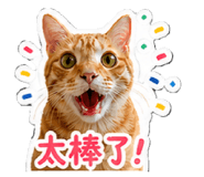 840712722