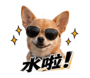 840713296