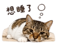 840713329