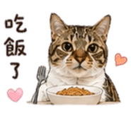 840713331