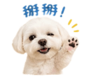 840713503