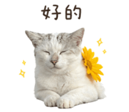 840713506