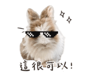 840713590
