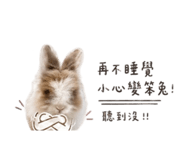 840713591
