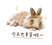 840714072