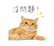 840714088